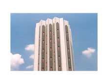 Load image into Gallery viewer, Carpoules