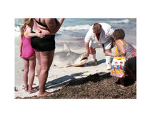 Load image into Gallery viewer, Carpoules