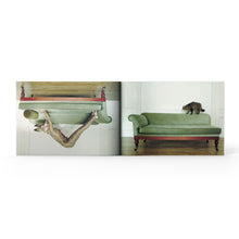 Load image into Gallery viewer, Hauskatze